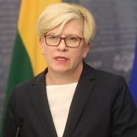 Премьер Литвы: я не говорю, что Польша бы нас не защищала