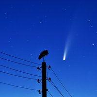 Nākamreiz tikai pēc 7000 gadiem – arī Latvijā var novērot spožo NEOWISE komētu