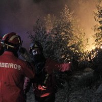 Meža ugunsgrēks liek atcelt ātrumposmu WRC Portugāles rallijā