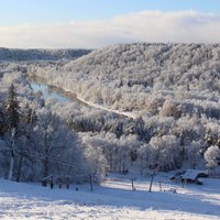 Kā baltā un sniegotā pasakā – lasītāji iemūžina dabasskatus Siguldā