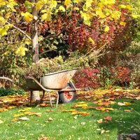 Pieci iemesli, lai rudenī neuzkoptu dārzu
