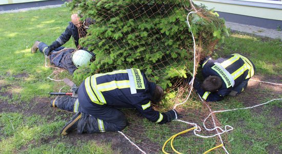 Kaķēni tualetē, suns strūklakā – no kādām likstām VUGD glābis dzīvniekus