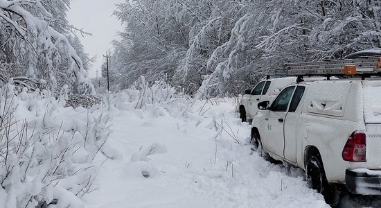 Foto: Vairākas dienas bez elektrības – 'Sadales tīkla' elektromontieri steidz palīgā kolēģiem Igaunijā