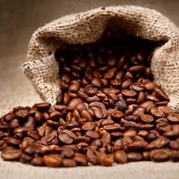 Мошенники экспортировали контрафактный кофе, выдавая его за известный бренд