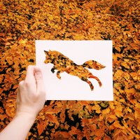 Foto: Mākslinieks krāsu vietā izmanto lapas, akmeņus un ziedus