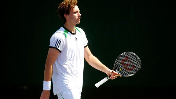 Gulbis