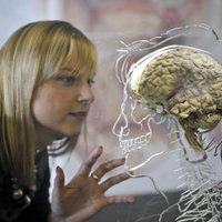 Ученые выяснили, что происходит с мозгом человека в невесомости