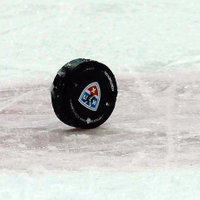 Hanoveras 'Scorpions' var nonākt KHL