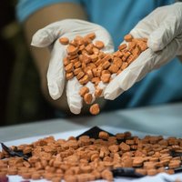 Полиция за два дня изъяла более 4 700 таблеток экстази и кокаин