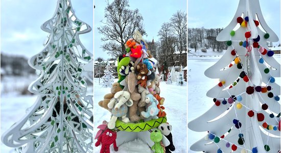 ФОТО. Предрождественская суета: жители Талси создали необычный парк елок