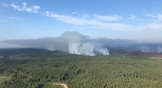 Valdgales pagasta plašā meža ugunsgrēka sadūmojums un smaka sasniegusi Saldu