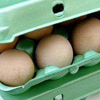 Зараженные химикатом яйца обнаружены еще в двух странах ЕС
