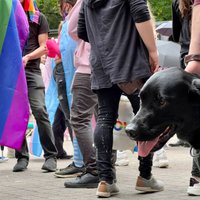Gājienā 'Riga pride' viens aizturētais