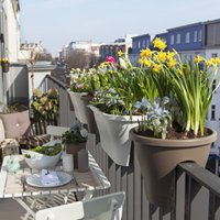 Pavasarim gatavs! Padomi balkona vai terases uzfrišināšanai