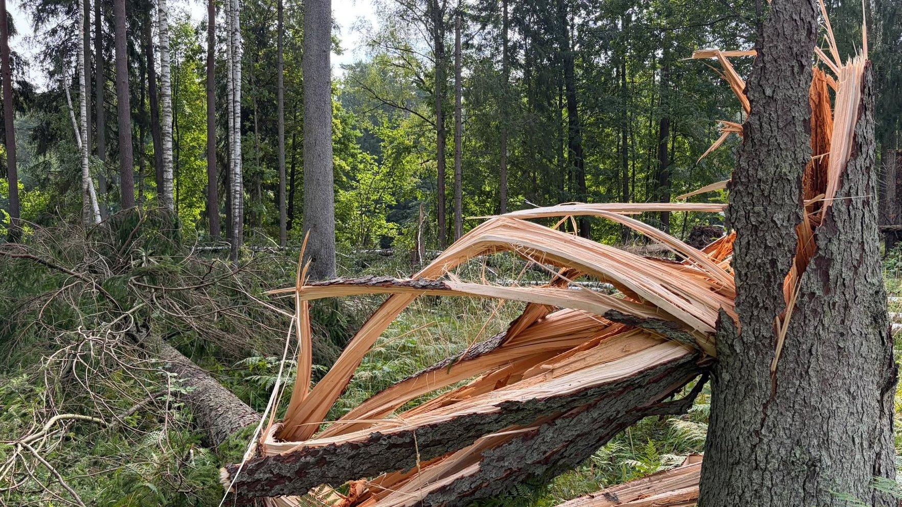 Riga faces weeks of cleanup after 'Priska' storm, schools to reopen September 1