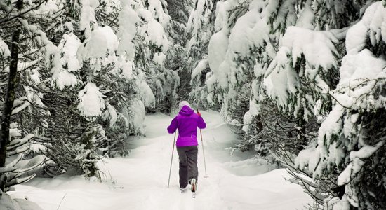 Kāpjam uz slēpēm! Padomi tiem, kuri šogad grib apgūt kalnu un distanču slēpošanu