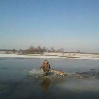 Cilvēki palīdz ledū ielūzušai stirnai (video)