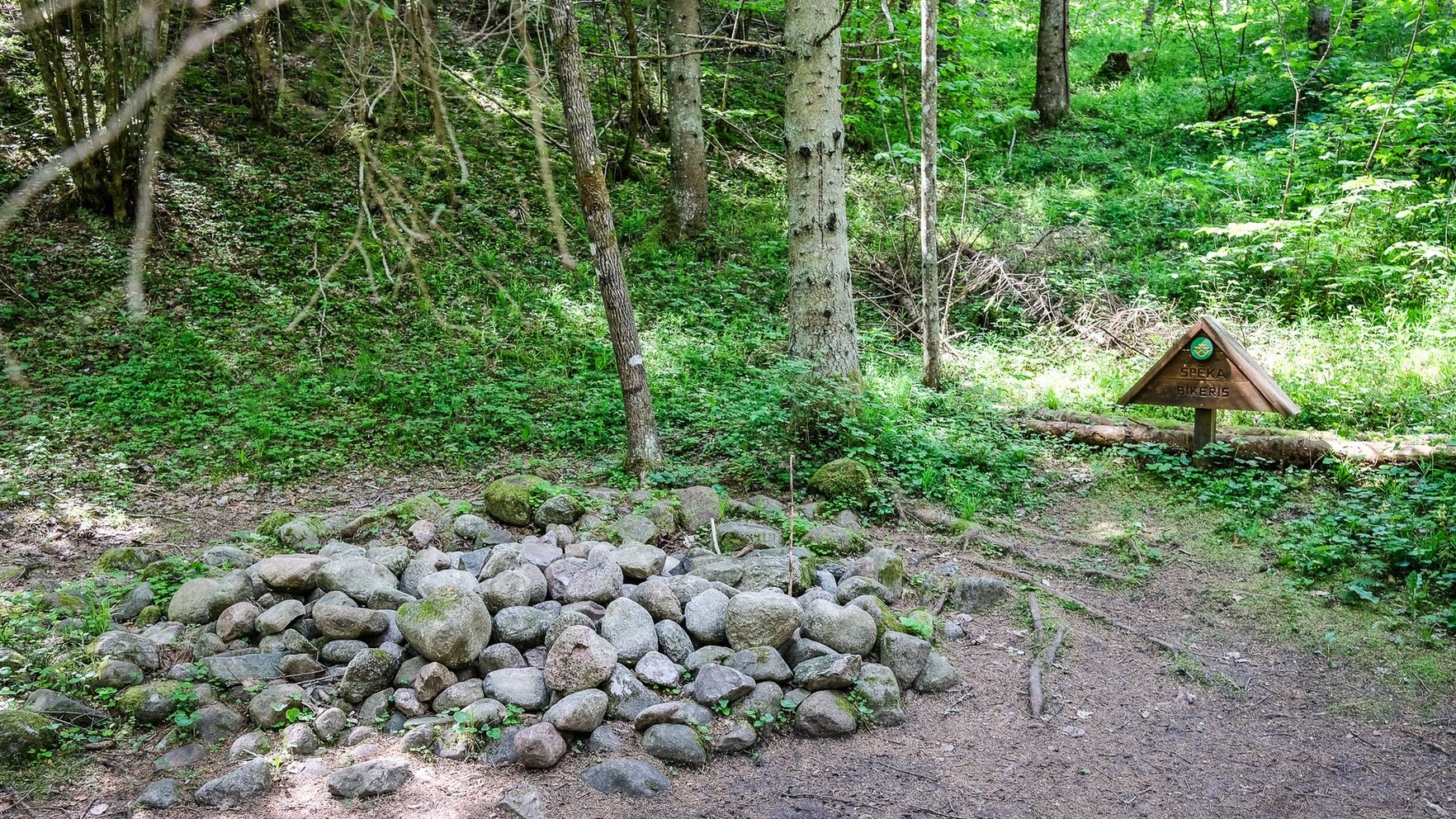 Par vides noziegumiem draudēs bargāki sodi