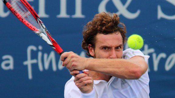 Gulbis