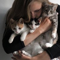 Madara, kas adoptēja trīs kaķus: sapratu, ka ar vienu mājās nebrauksim