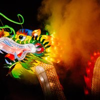 В Литве снова пройдет фестиваль китайских фонарей. Вот ФОТО прошлого года