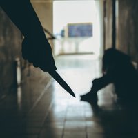 'Iespējams, greizsirdības dēļ'– par slepkavības mēģinājumu Pārdaugavas skolā lūdz apsūdzēt jaunieti