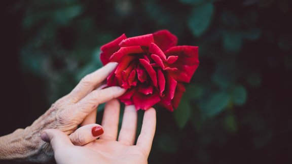 rokas sieviete vecums novecošana roze veselība dzīve