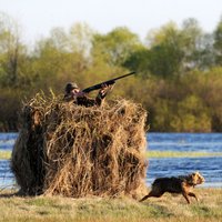 Ведется сбор подписей за ограничение охоты в Национальных парках Латвии