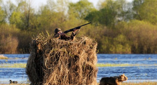 Ведется сбор подписей за ограничение охоты в Национальных парках Латвии