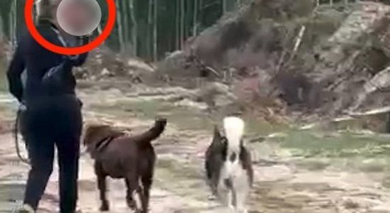 Video: Saimniece atsakās siet suni pavadā un rāda rupju žestu; policija pārbauda