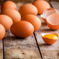 Эксперт: в этом году цены на яйца могут снизиться