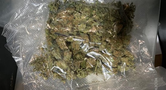 Полиция провела обыски в Латгалии: изъяты марихуана, амфетамин и MDMA