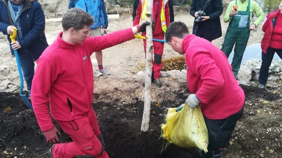 Annas koku skolas meistarklase koku stādīšanā, koku stādīšana, annas koku skola