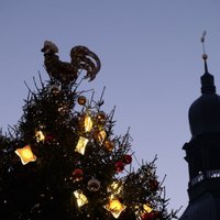 В Риге в этом году будет семь больших рождественских елок