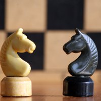 В последний день шахматной Олимпиады скончались два участника