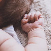 Mēs vairs neesam galvenie – stāsts par glābējsilītē atstāta mazuļa ienākšanu jaunā ģimenē