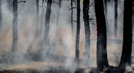 Olaines pagastā turpinās meža ugunsgrēka dzēšana