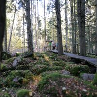 Piecas vietas Latvijā, kur meklēt valdzinošus akmeņu krāvumus