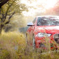 'Audi' zīmola stāsts: automašīnas, kuras inženieri slepus paglāba no iznīcības