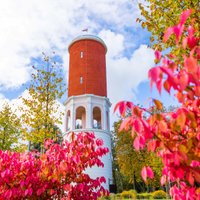 ФОТО. Золотая осень в обновленном историческом парке Кемери