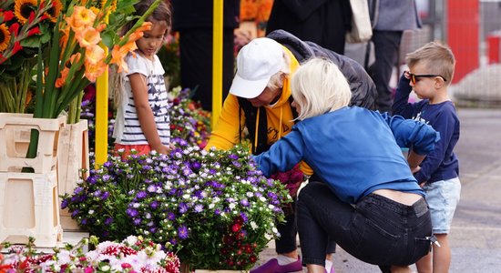 Foto: Satraukums un prieks – 1. septembra rīts Rīgā