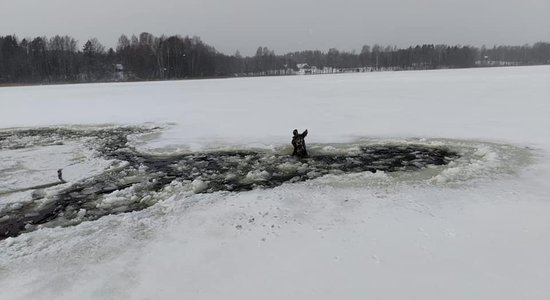 "Vecāki, neapdraudiet bērnu dzīvības". VUGD ar emocionālu ierakstu cer sasniegt pieaugušos  