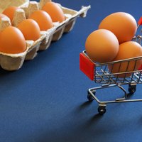 Цены на яйца в ЕС выросли за год на 30%