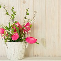 Pavasara vēsmas mājoklī: ziedu kompozīcijas tandēmā ar plaucētiem zariem