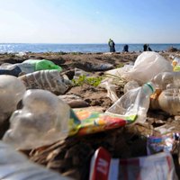 Atkritumu daudzums Latvijas piekrastē pēdējo gadu laikā pieaudzis par trešdaļu