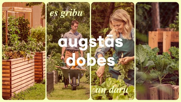 Augstās dobes soli pa solim: pieredzes stāsts un trīs vērtīgi padomi