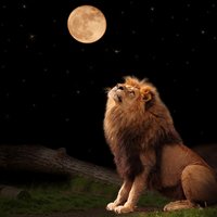 Pilnmēness Lauvā – nedraudzīgs sirds un asinsvadu slimniekiem, draudzīgs darbam ar enerģijām