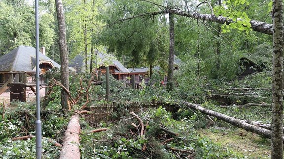 Latvijas valsts mežu dabas parks Tērvetē