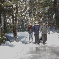 ФОТО: В Канаде открыли каток длиной 15 километров, идущий по сказочному лесу