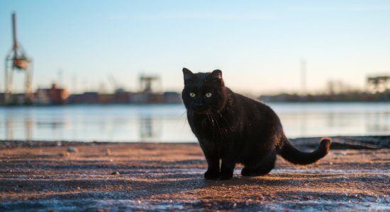 Latvijā noturīgs sals un sniegs šogad vairs nav gaidāms